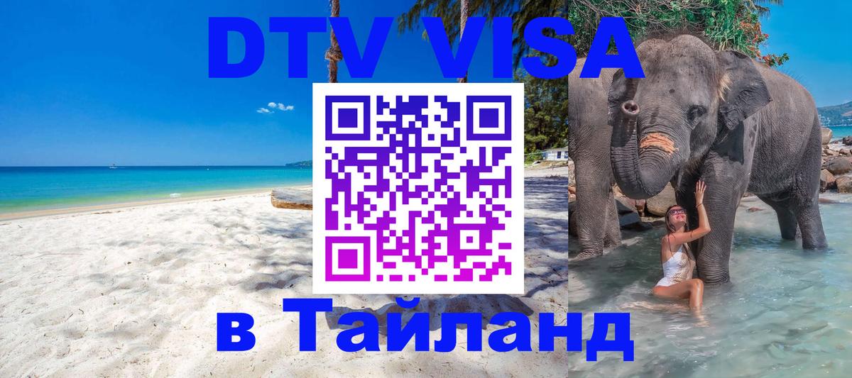 Сколько стоит DTV виза — актуальные цены, оформление даже без документов - Нижний Новгород  21.11.2025 